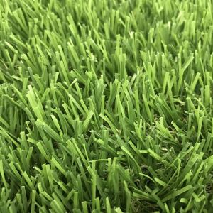 Artificial Turf Stofnanir